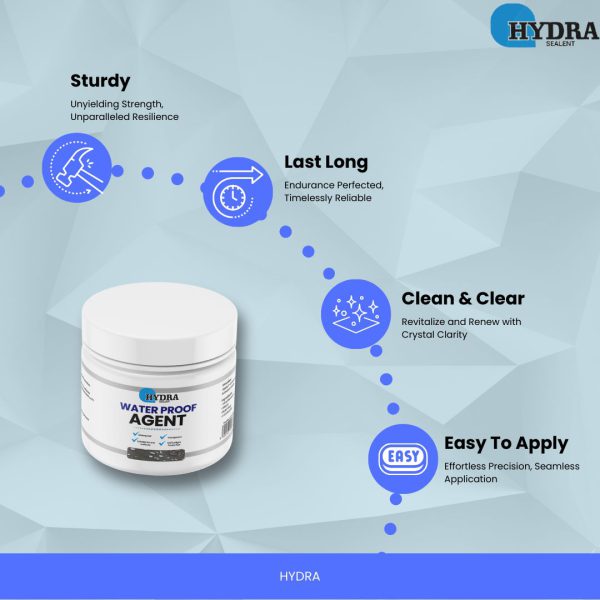 Hydra Anti-Leakage Waterproof Agent With Brush | 100% Original